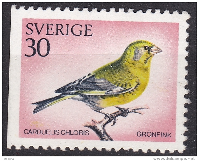 BIRD VOGEL Oiseau Greenfinch Carduelus Chloris Grünfink Verdier Verdone Finchada Verde SWEDEN 1970 MI 695 Dl Slania - Uccelli Canterini Ed Arboricoli