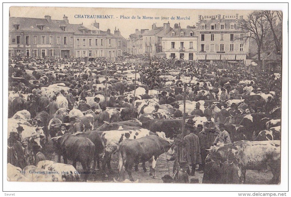 CHATEAUBRIANT. - Place De La Motte Un Jour De Marché - Châteaubriant