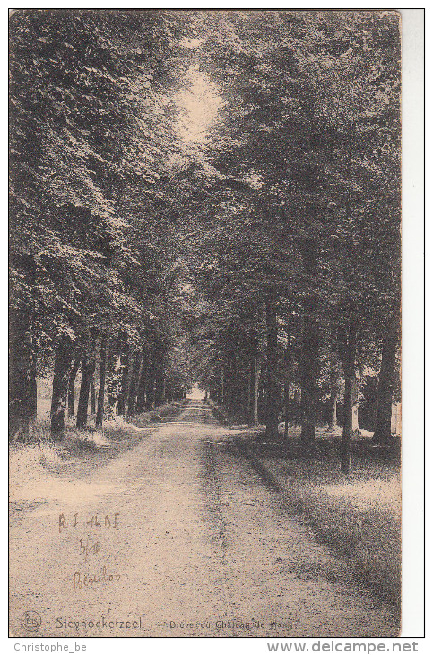 Steenokkerzeel, Steynockerzeel, Drêve Du Chateau De Ham (pk19809) - Steenokkerzeel