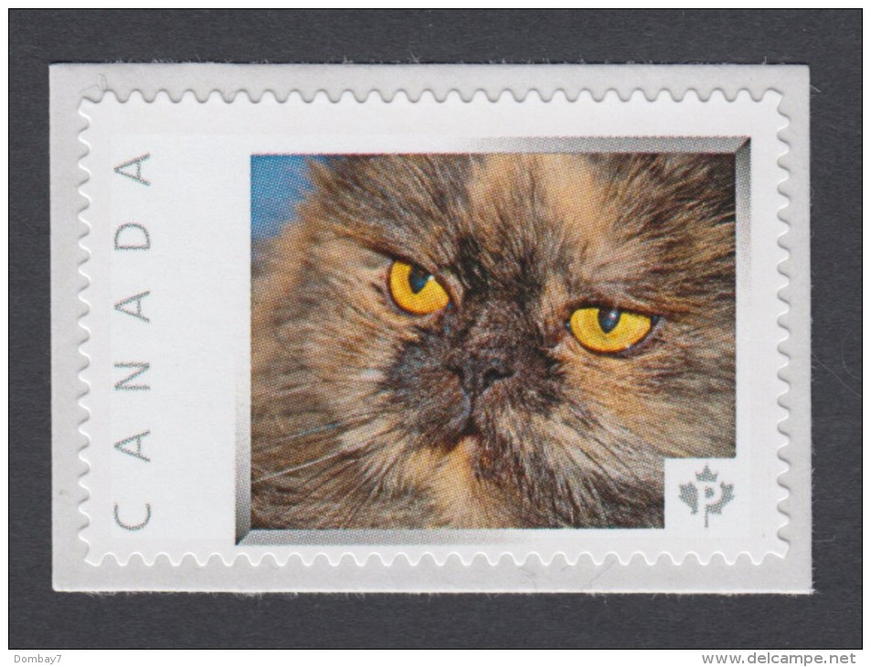 PERSIAN CAT, TURTLE THREE COLOR  Picture Postage MNH  Stamp,  Canada 2014 [p8fa5/2] - Katten