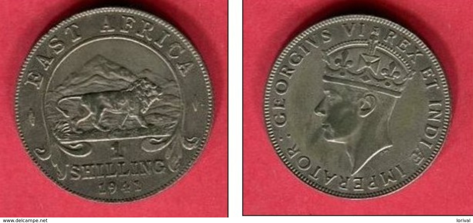 1 SHILLING   (KM  28 )  TB+  18 - British Colony