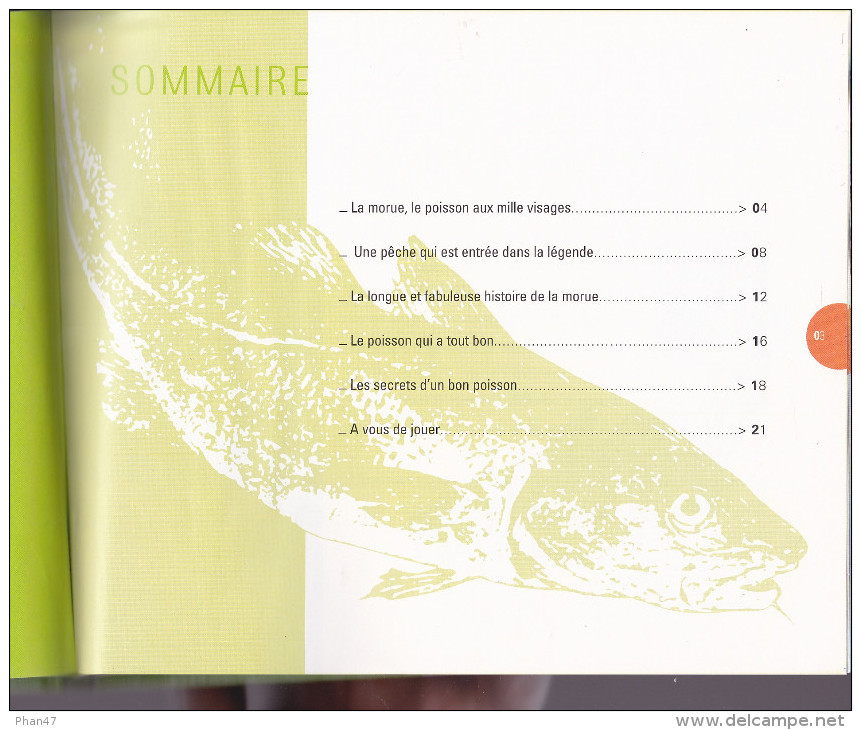 LA MORUE, Une Aventure De Tous Les Temps + 25 Recettes. Ed. Toupargel-Agrigel 2004 - Gastronomie