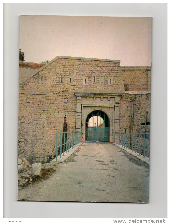 LE DEBARQUEMENT DE PROVENCE GENERAL DE NANTEUIL OUEST FRANCE  (GUERRE 39/45) - Guerre 1939-45