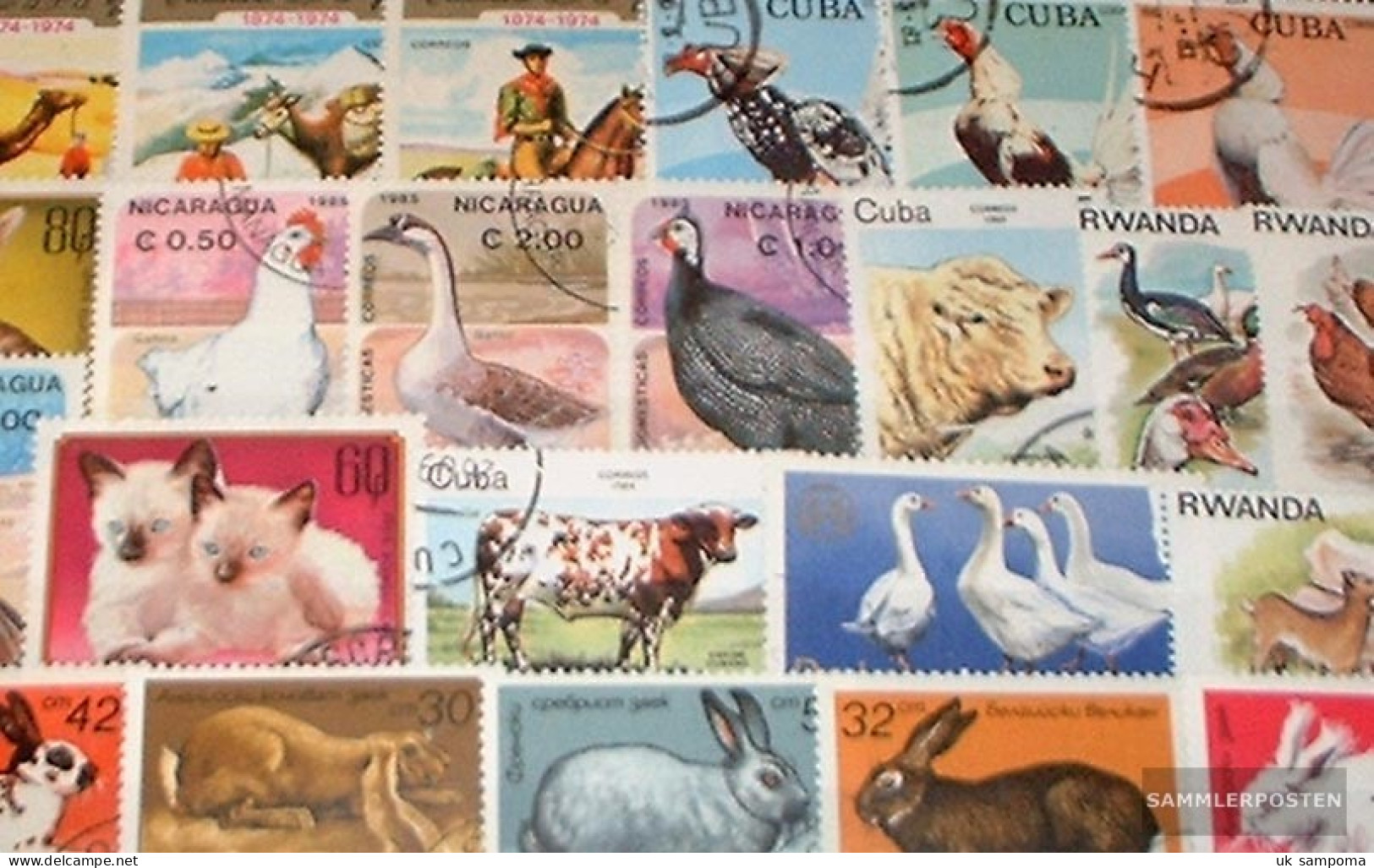 Motives 100 Different Pets Stamps - Farm