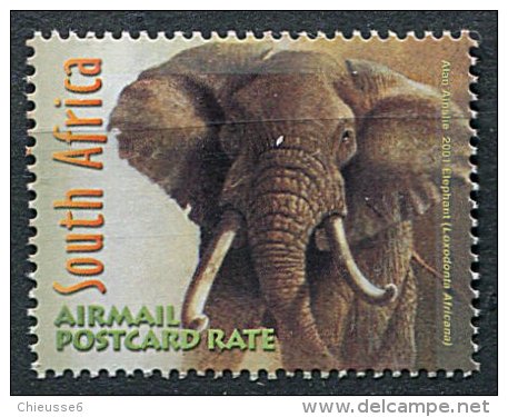 (cl 10 - P50) Afrique Du Sud ** PA N° 46 (ref. Michel Au Dos) - Elephants - - Unused Stamps