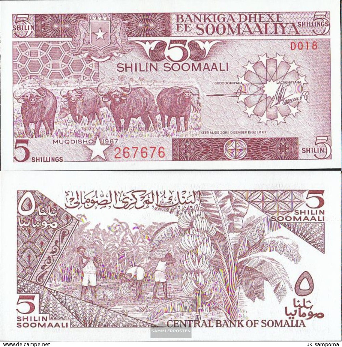 Somalia Pick-number: 31c Uncirculated 1987 5 Shilling Büffel - Somalia