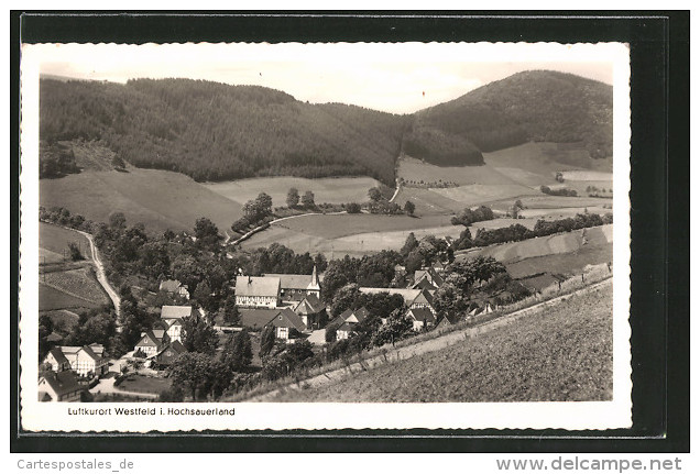 AK Westfeld, Ortsansicht Mit Bergpanorama - Autres & Non Classés