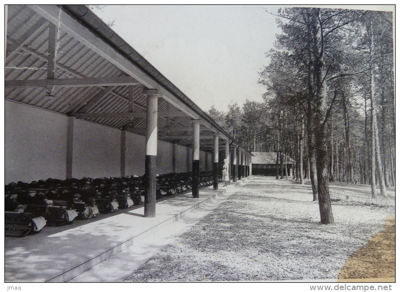 Sainte-Ode, Air Et Soleil, Fondation Empain, Le Préau - Sainte-Ode