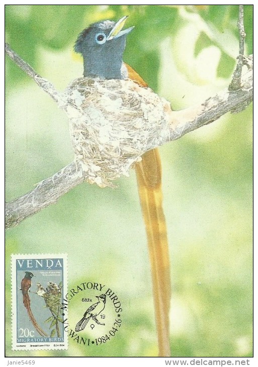 Venda 1984 Migratory Birds,Terpisiphone,Maximum Card - Venda