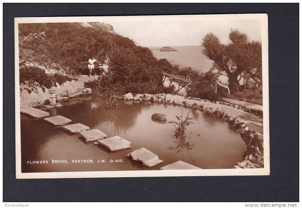 UK - Flowers Brook - Ventnor - Isle Of Wight ( Dean 465) - Ventnor