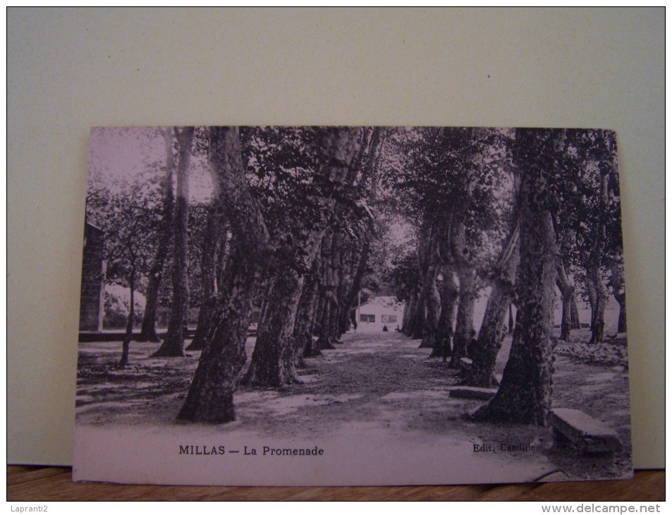 MILLAS (PYRENEES ORIENTALES) LA PROMENADE - Millas