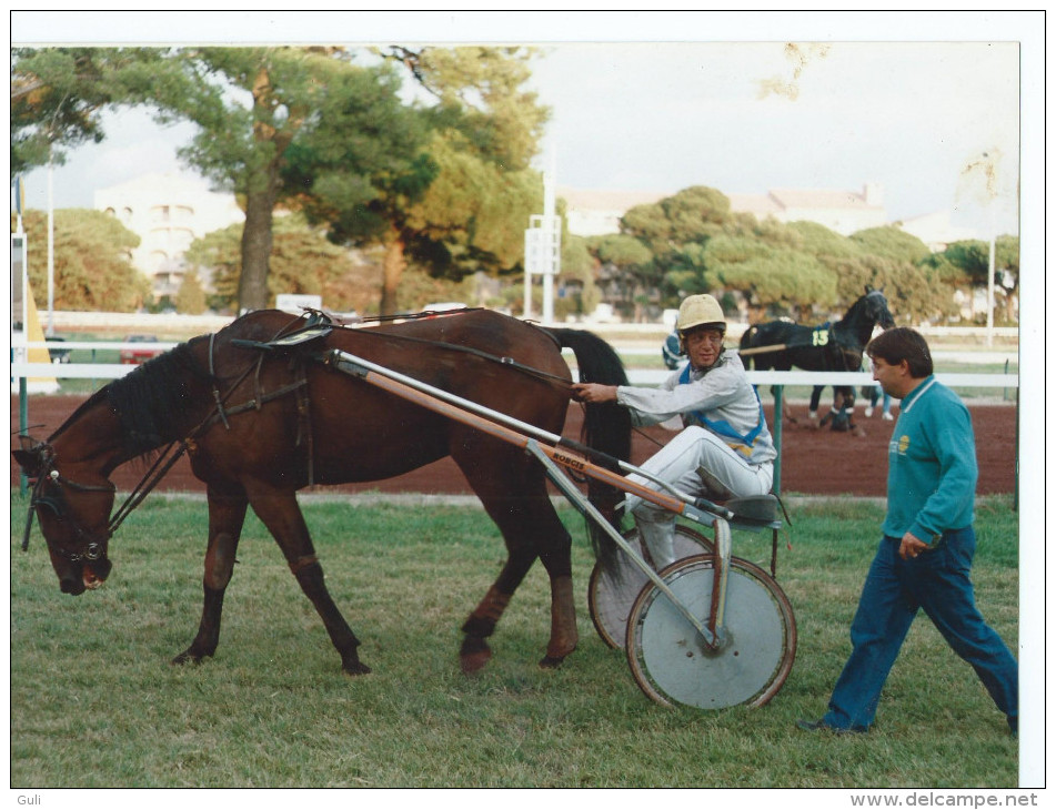 PHOTO GRAND FORMAT 24 X 18 Cms  (cheval Trot Attelé Hippisme Turf Horse Sport Hippique) - Sports