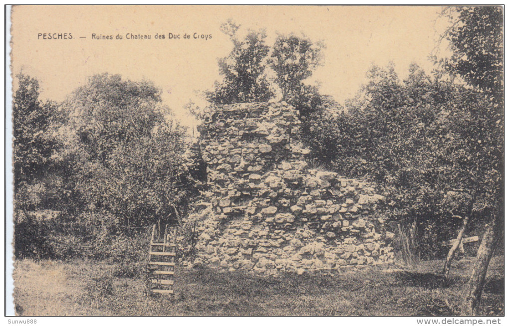 Pesches - Ruines Du Château Des Duc De Croÿs (Desaix, Edit. Antoine) - Couvin