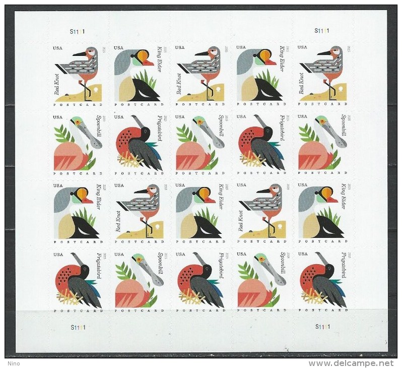 USA. Scott # 4991-94 MNH Sheet Of 20. Coastal Birds Postcard Rate 2015 - Hojas Completas