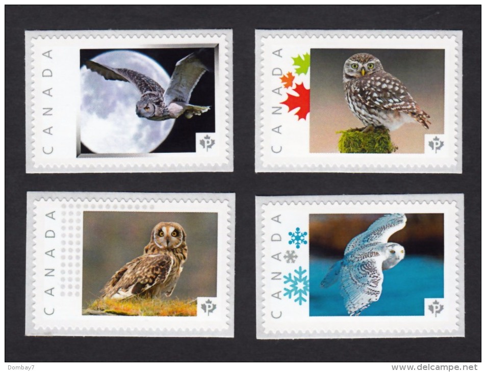 NEW !  OWLS  Set Of 4 Picture Postage MNH Stamps, Limited Issue, Canada 2015 [p15/6ow4] - Owls