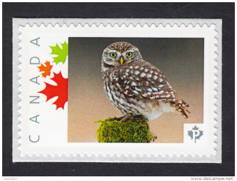 NEW !  OWLS  Set Of 4 Picture Postage MNH Stamps, Limited Issue, Canada 2015 [p15/6ow4] - Owls