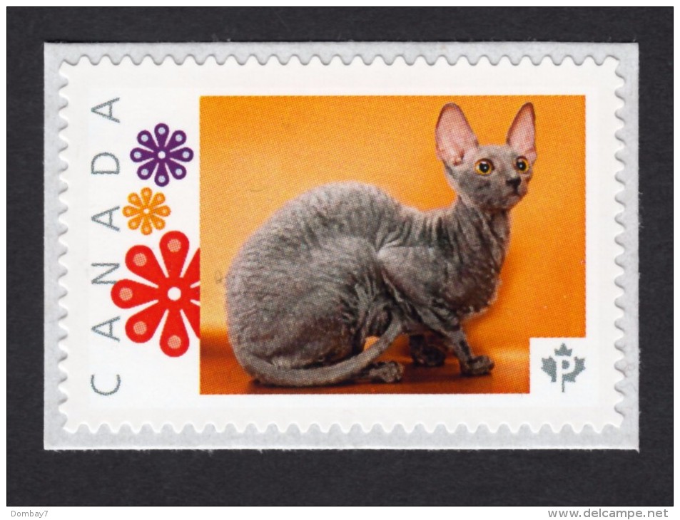 NEW ! CORNISH REX DOMESTIC CAT   Picture Postage MNH Stamp,  Canada 2015 [p15/6ct5/5] - Domestic Cats