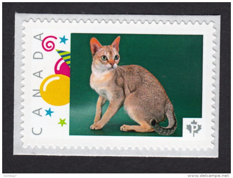 NEW ! SINGAPURA DOMESTIC CAT   Picture Postage MNH Stamp,  Canada 2015 [p15/6ct5/4] - Domestic Cats