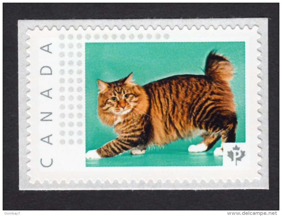 NEW ! AMERICAN BOBTAIL,  DOMESTIC CAT   Picture Postage MNH Stamp,  Canada 2015 [p15/6ct5/1] - Domestic Cats