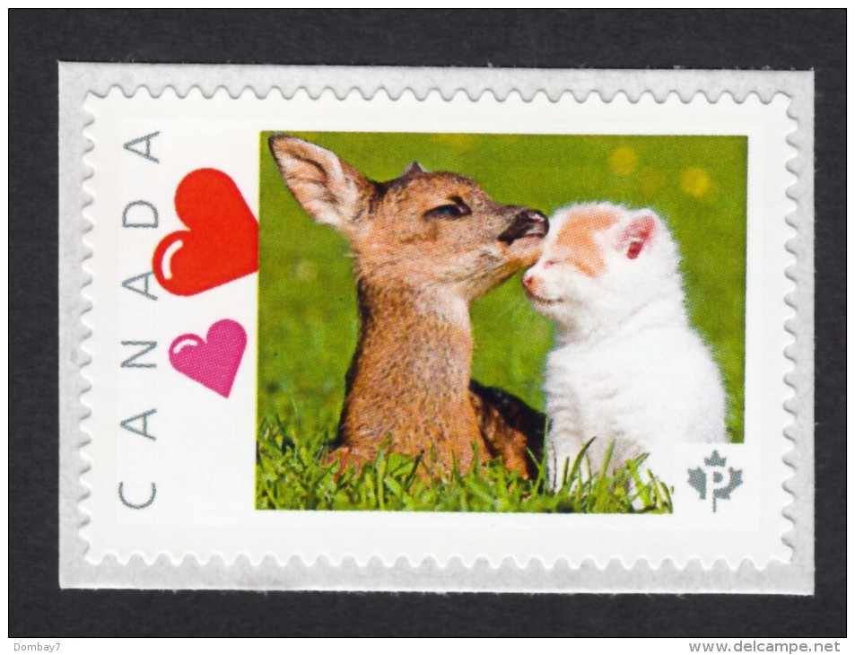 NEW !   KITTENS And A BABY DEER  Picture Postage MNH Stamp  Canada 2015 [p15/6kt3/3] - Domestic Cats