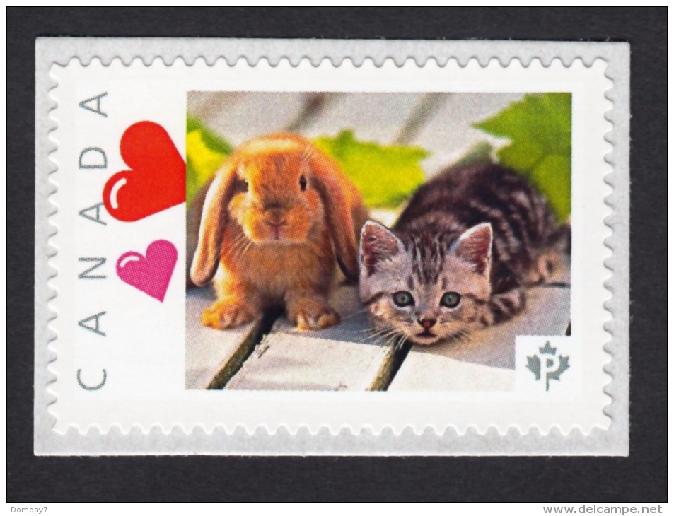 NEW !   KITTENS And BUNNY  Picture Postage MNH Stamp  Canada 2015 [p15/6kt3/1] - Domestic Cats