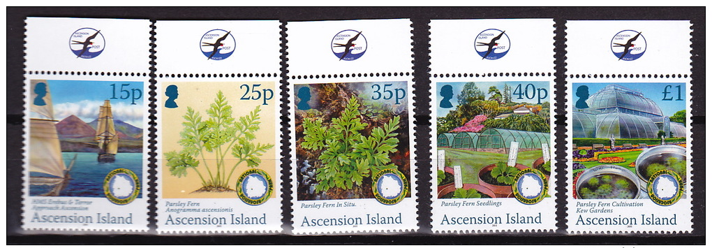 CRYPTOGAMEN -FERNS- VARENS- Ascension Island 2011 - Autres & Non Classés