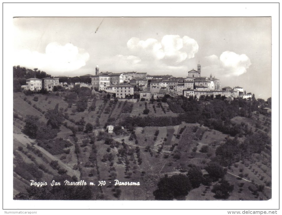 Poggio San Amrcello Panorama Non Viaggiata  COD.C.1882 - Altri & Non Classificati