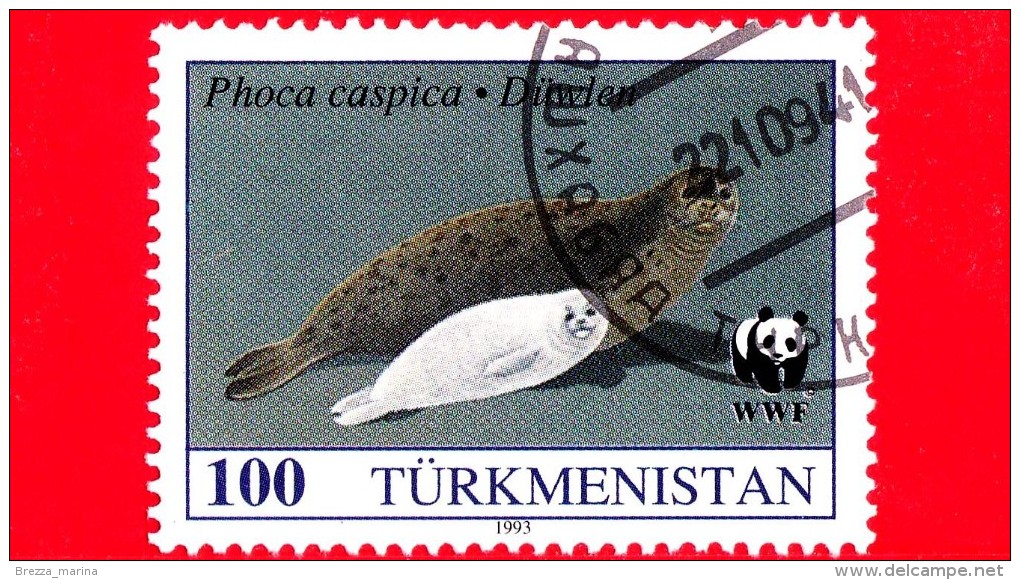 Turkmenistan - Nuovo Oblit. - 1993 - Foca Del Mar Caspio - The Caspian Seal - Mother And Young - 100 - Turkmenistan