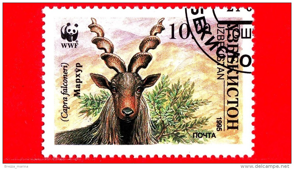 UZBEKISTAN - Nuovo Oblit. - 1995 - WWF - Capra Falconeri - Head Of Makhor - 10 - Uzbekistan