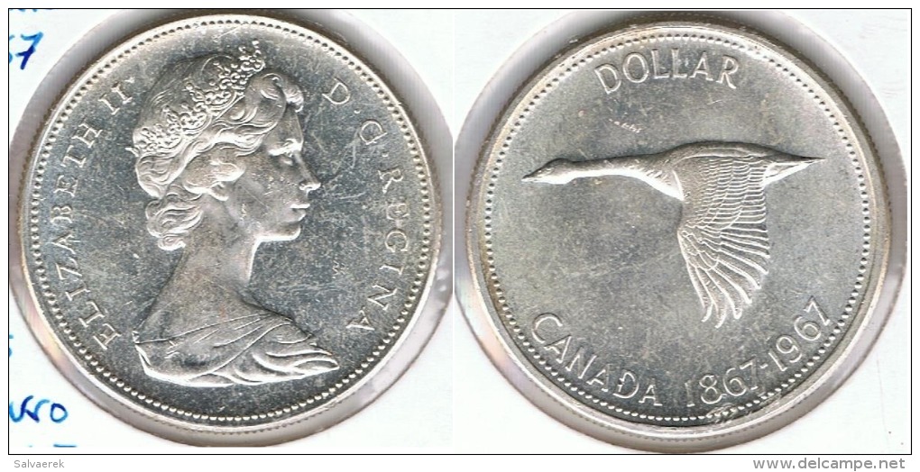 CANADA DOLLAR GANSO 1967 PLATA SILVER D71 - Canada