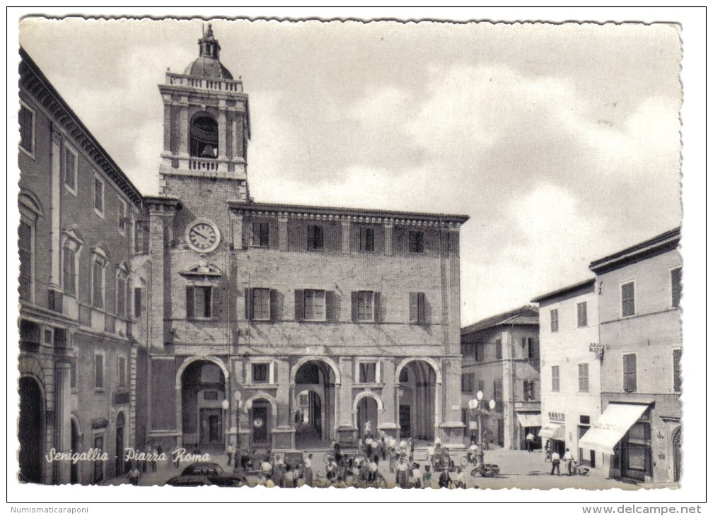 Senigallia Piazza Roma Viaggiata 1953  COD.C.1893 - Senigallia