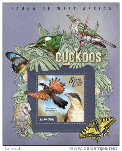 Sierra Leone. 2015 Cuckoos. (006c) - Cuco, Cuclillos