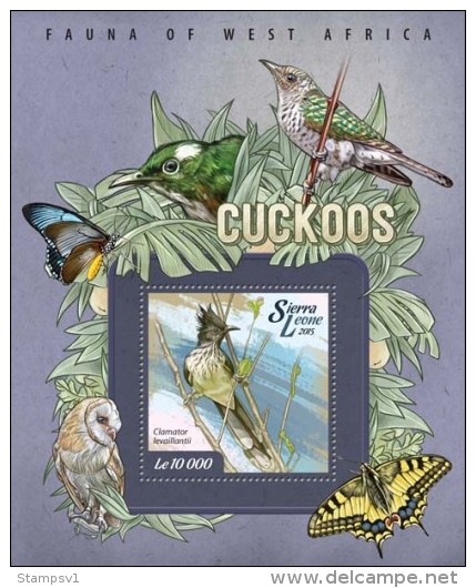 Sierra Leone. 2015 Cuckoos. (006b) - Cuckoos & Turacos