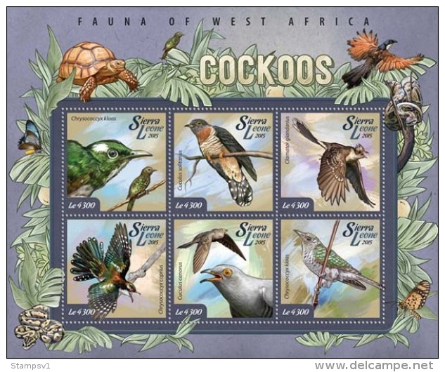 Sierra Leone. 2015 Cuckoos. (006a) - Cuco, Cuclillos