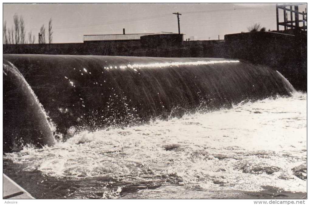 SALTOS De Cinco Saltos - 5 Fach Frankierung Auf Ak 1964 - Argentinien