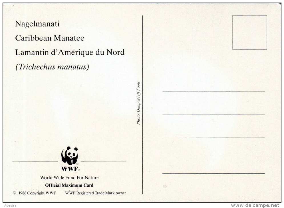GUYANA - WWF Maximumkarte &gt;Nagelmanati&lt; Karte Mit Nagelmanati + Zugehörige Marke - Lettres & Documents