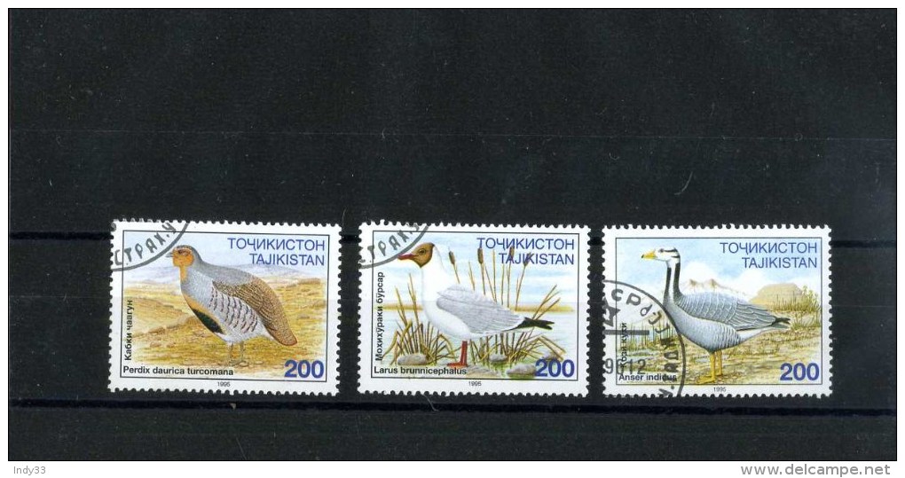 - TAJIKISTAN  . TIMBRES DE 1995 SUR LES OISEAUX . OBLITERES . - Tajikistan