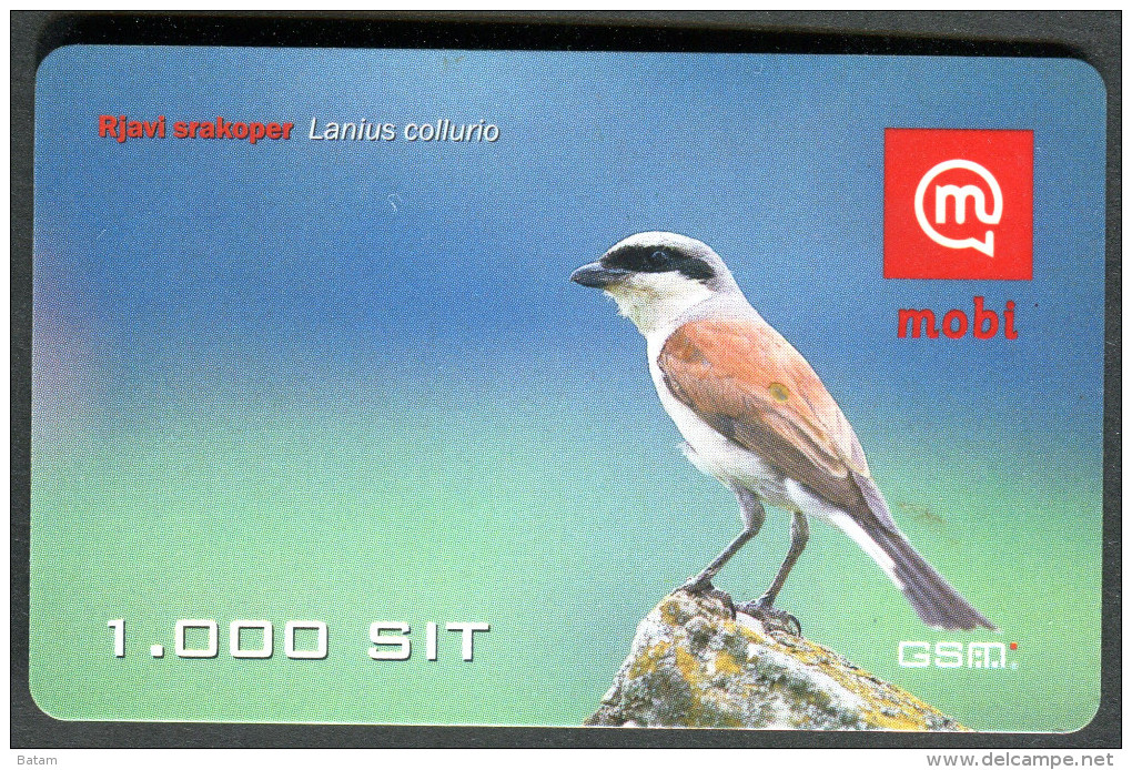 Slovenia - Prepaid Card - Bird - Red-backed Shrike - Used - 2005 - Pájaros Cantores (Passeri)