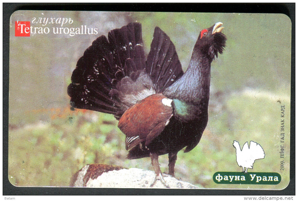 Russia - Phonecard - Birds - Wood-grouse - Tetrao - Used - Hoenderachtigen & Fazanten