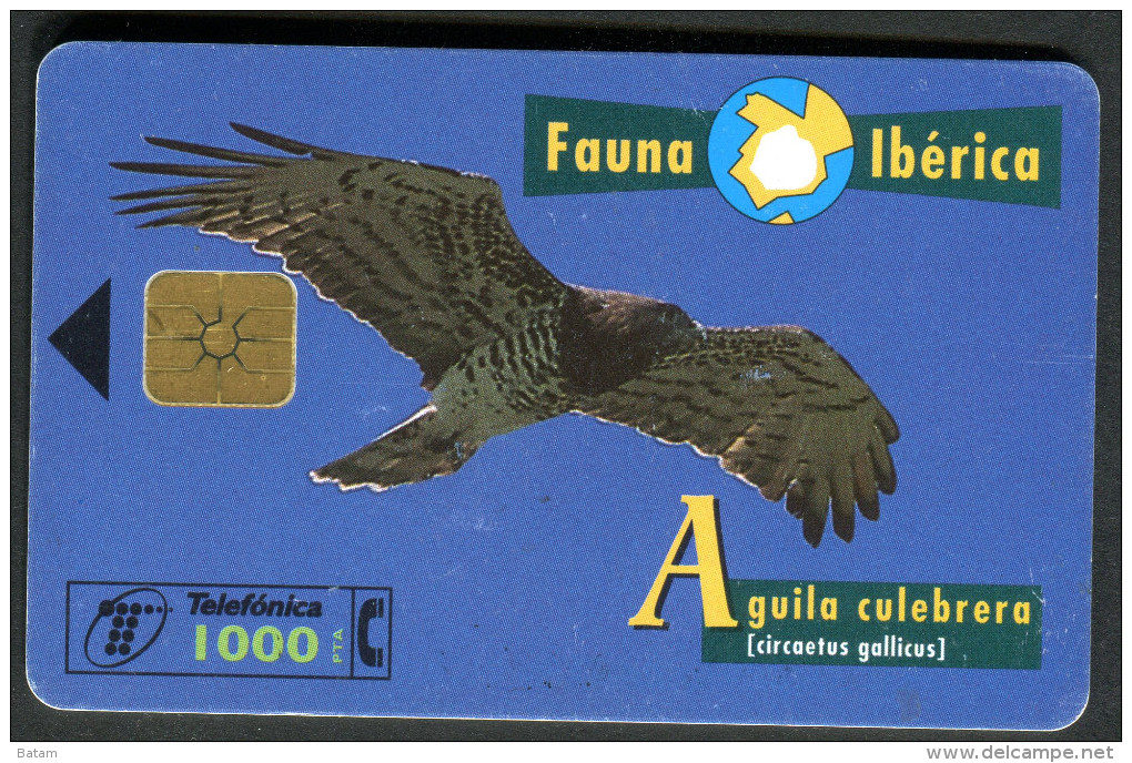 Spain - Phonecard - Birds - Eagles - Used - Águilas & Aves De Presa