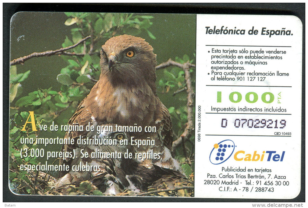 Spain - Phonecard - Birds - Eagles - Used - Aigles & Rapaces Diurnes