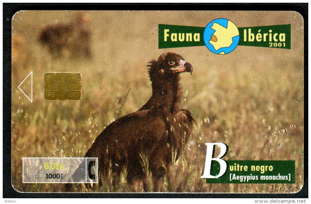 Spain - Phonecard - Birds - Eagles - Used - Águilas & Aves De Presa