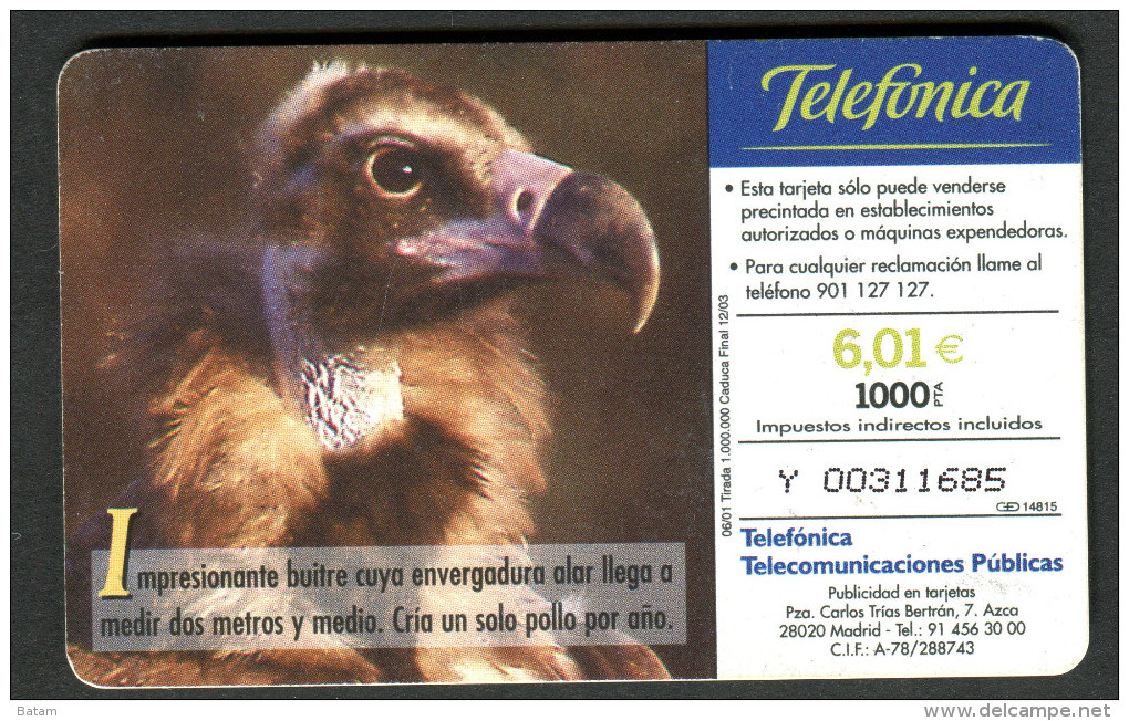 Spain - Phonecard - Birds - Eagles - Used - Águilas & Aves De Presa