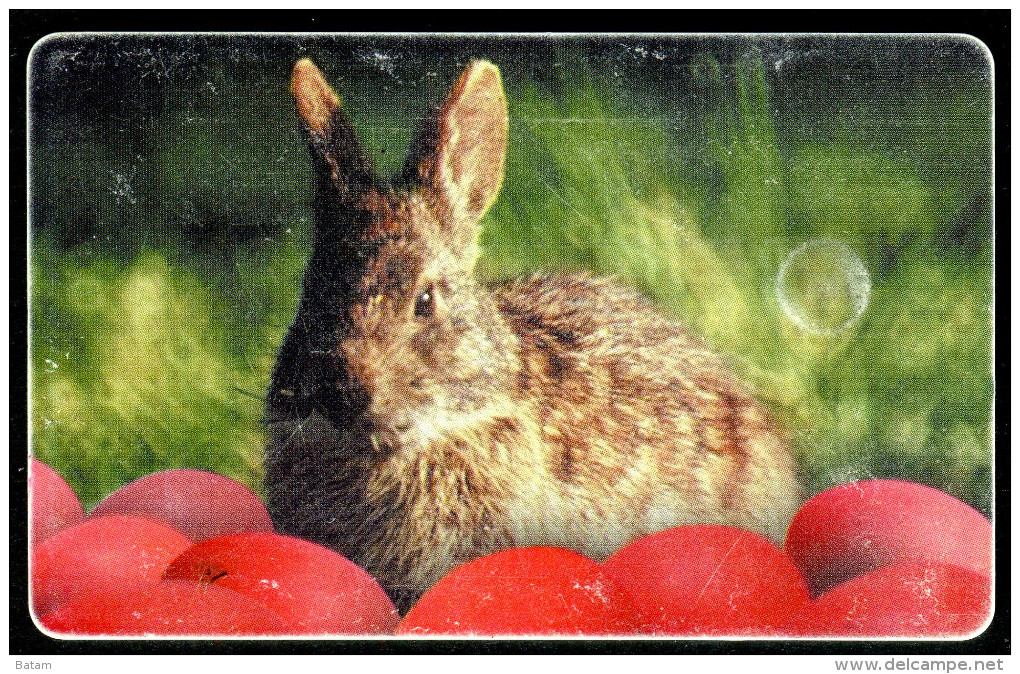 Romania - Phonecard - Animals - Rabbits - Used - Lapins