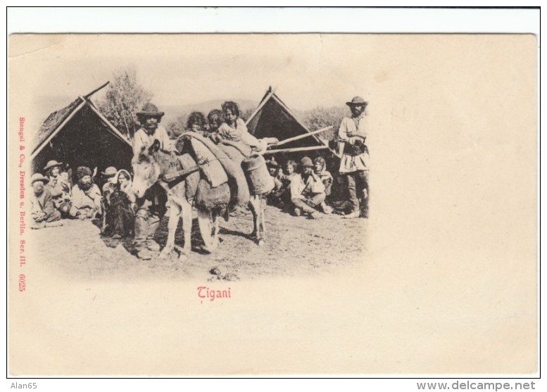 'Tigani' Romani Gypsy Families, C1900s Vintage Romanian Postcard - Europa