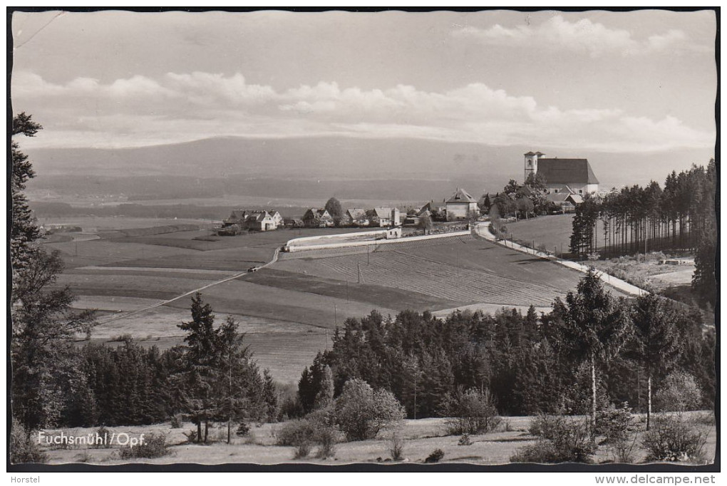 D-95689 Fuchsmühl - (Opf.) - Panorama - Tirschenreuth