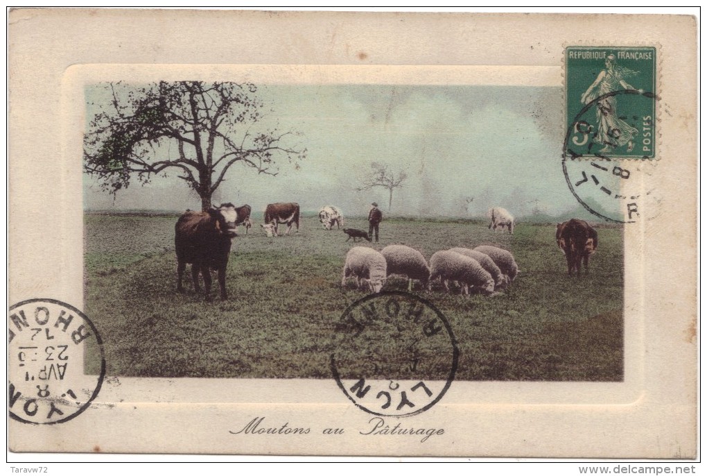 CPA AGRICULTURE / MOUTONS AU PATURAGE - Autres & Non Classés