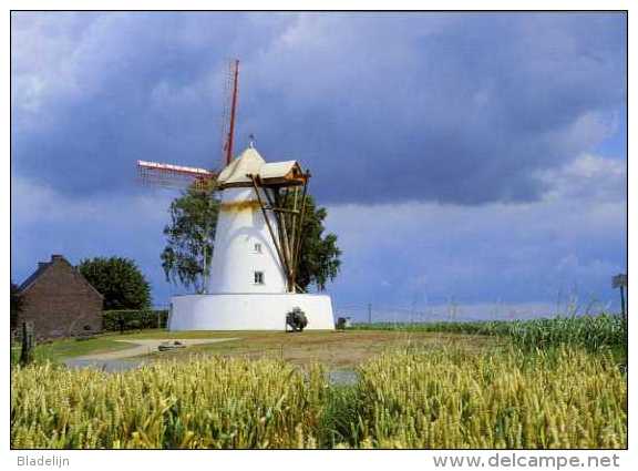 OSTICHES - Ath (Hainaut) - Le Blanc Moulin Avec Nuages Orageux Et Champ De Blé / De Witte Molen, Onweerslucht, Graanveld - Ath