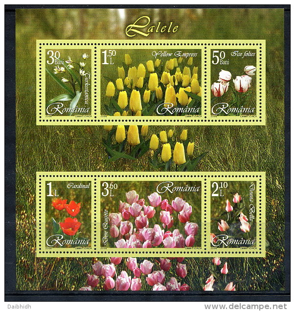 ROMANIA 2006 Tulips Block  MNH / **.  Michel Block 373 - Unused Stamps