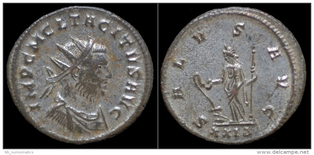 Tacitus Silvered Antoninianus Salus Standing Facing - Der Soldatenkaiser (die Militärkrise) (235 / 284)